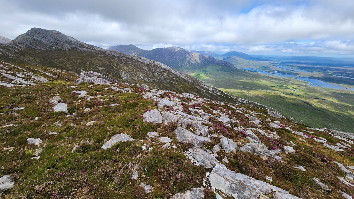 Yumi Mihara tweet media