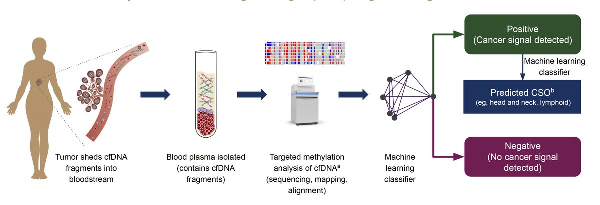 Many people ask me "Should I get a Galleri blood test for early cancer detection?"
Here are the latest data 
erictopol.substack.com/p/the-largest-…