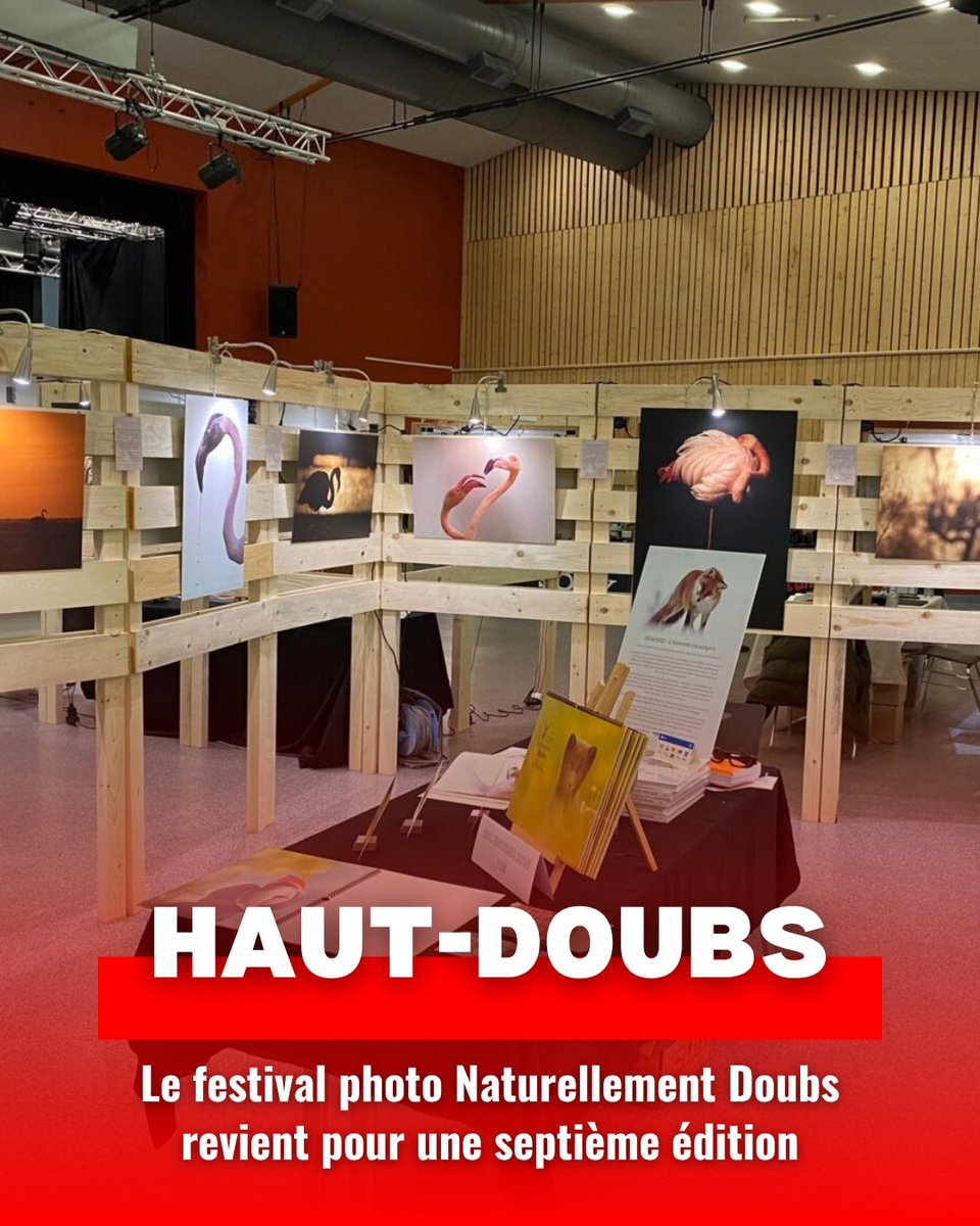 📸 Le festival Naturellement Doubs revient à Labergement-Sainte-Marie pour une 7ᵉ édition entre nature, art et émotion. Photos, rencontres et découvertes inédites vous y attendent.

➡️ Découvrez le programme complet dans notre article : pulse.ly/rywxlytqgp