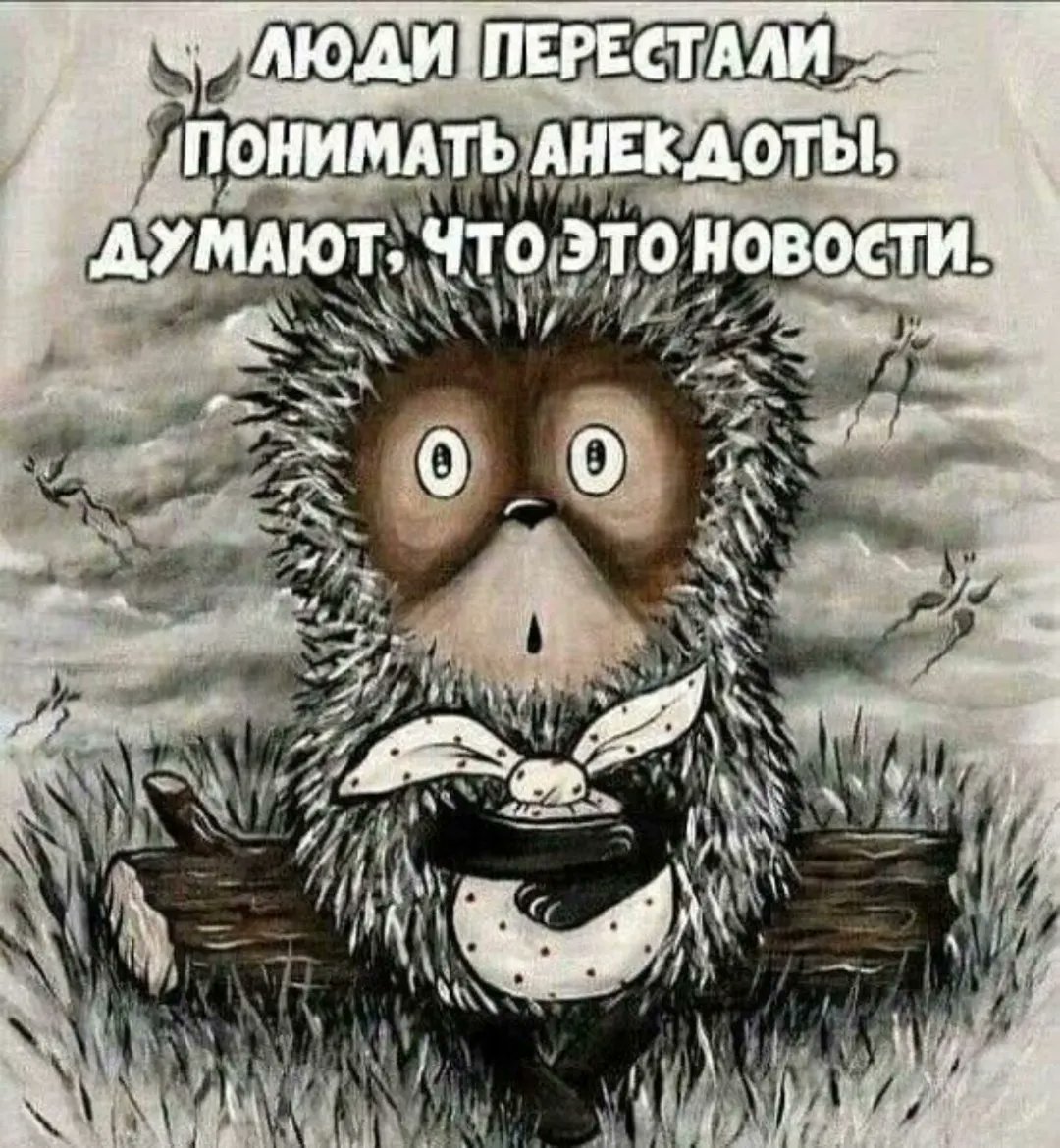 А вот и ёжик: собрал всю жизнь в узелок, потому что больше не различает — это правдивая история про ёжа или свежий выпуск новостей. 🦔 А вы тоже иногда материтесь на заголовки как на плохие шутки?