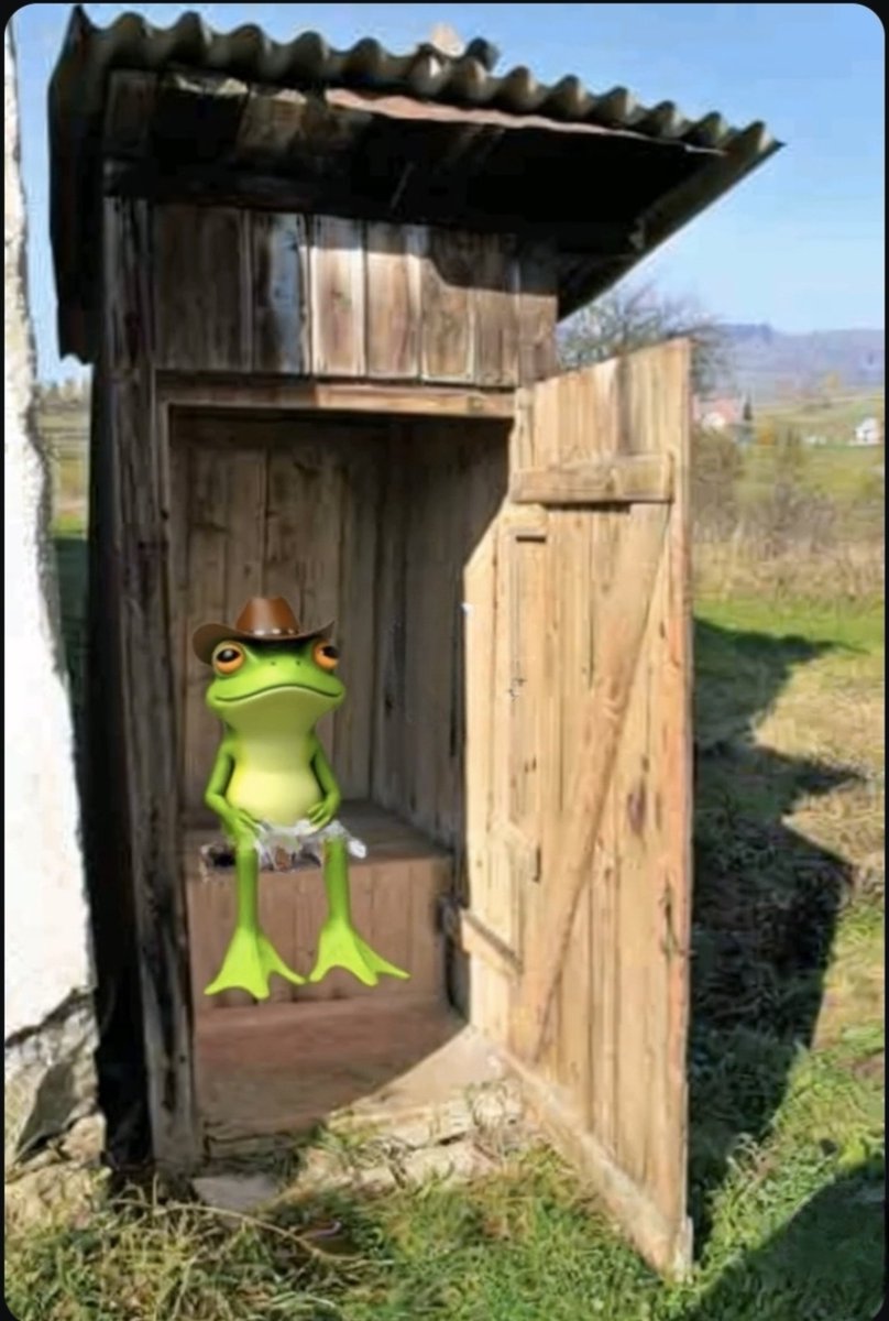 BANJO 🐸🪕 tweet media