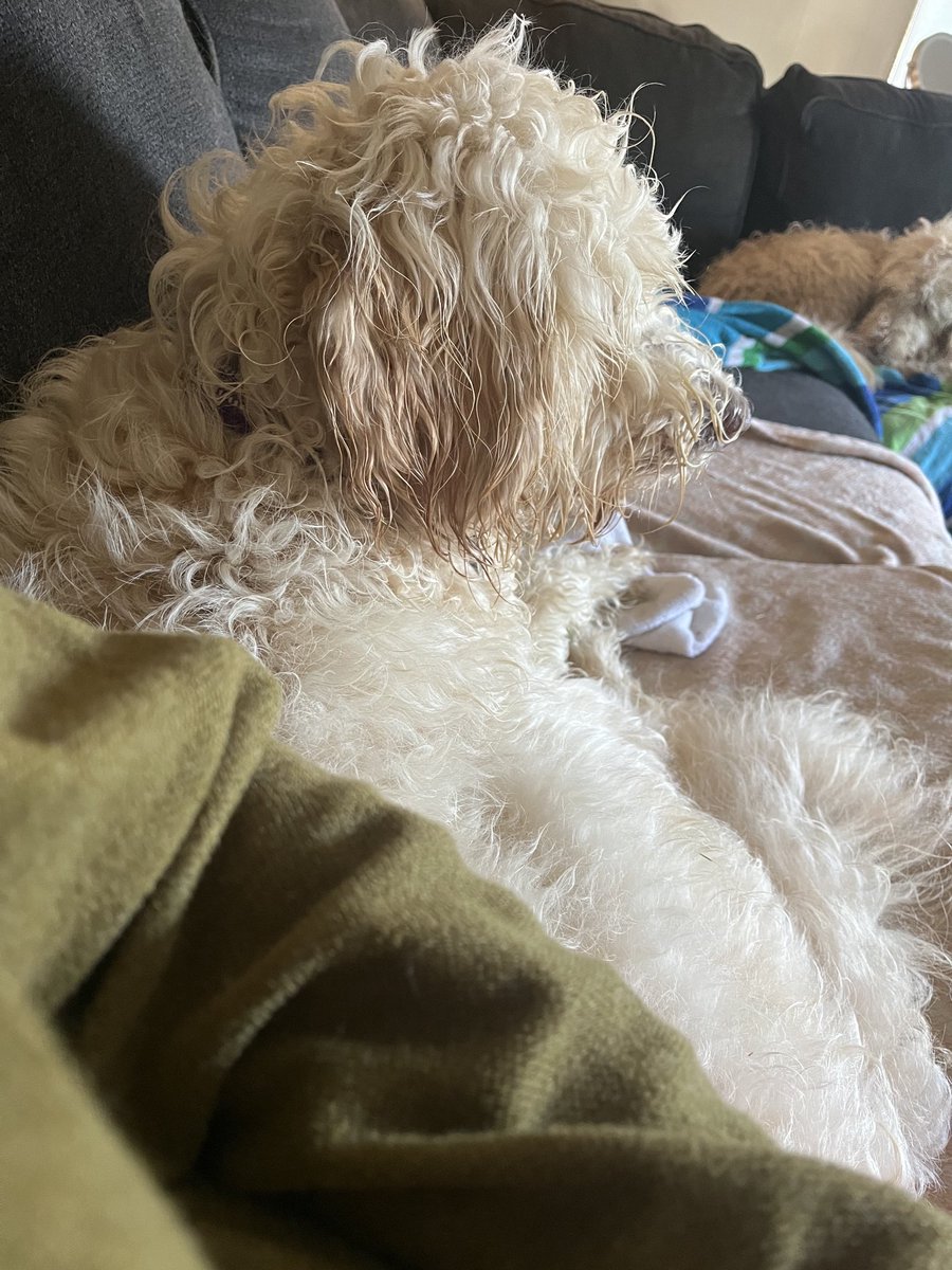 Lucy loves watching tv