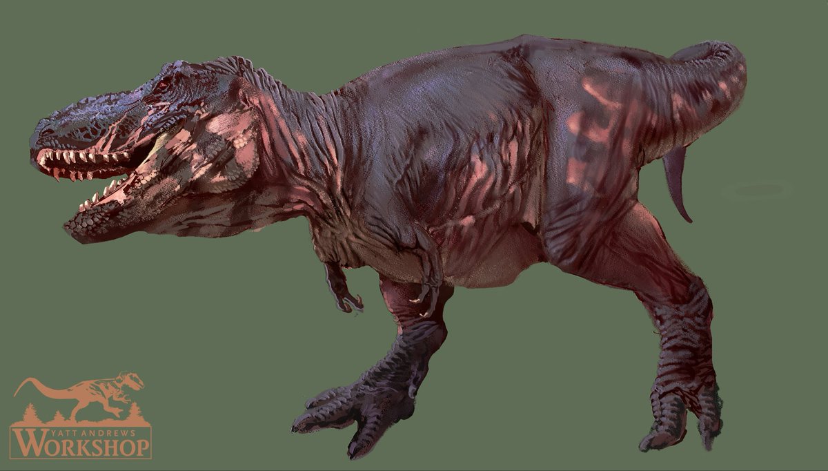 wa_workshop's tweet image. rex comm