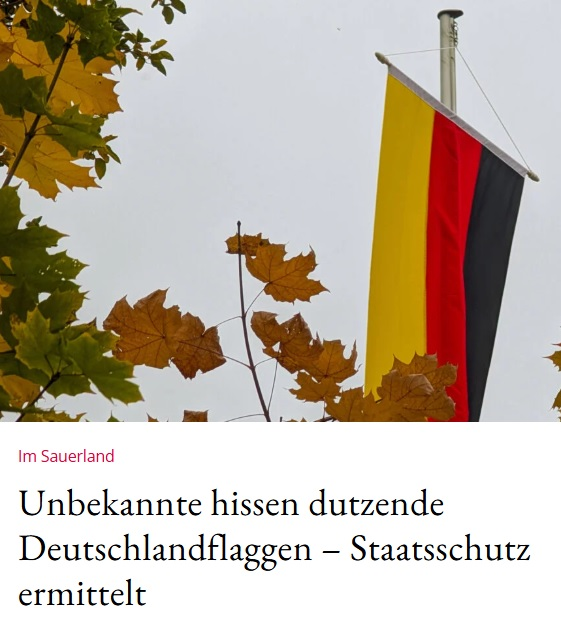 Der Staatsschutz schützt den Staat vor seinen eigenen Farben / Flagge  ?