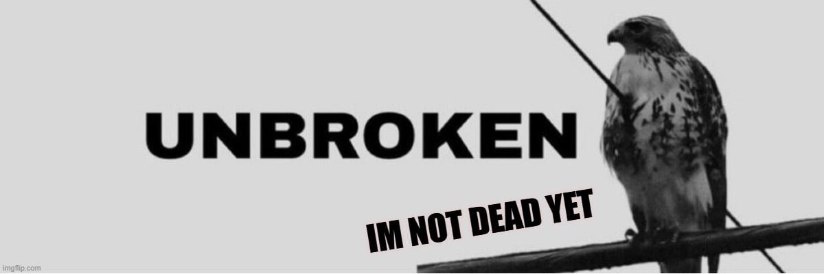 CodeManSol's tweet image. Looks like the reversal that’s about to happen with one of the most powerful symbolic memes out there. $unbroken

6WUbAGBQd51XFQ3gagp3vJRsaz2Euo4PsE7uYvTLpump