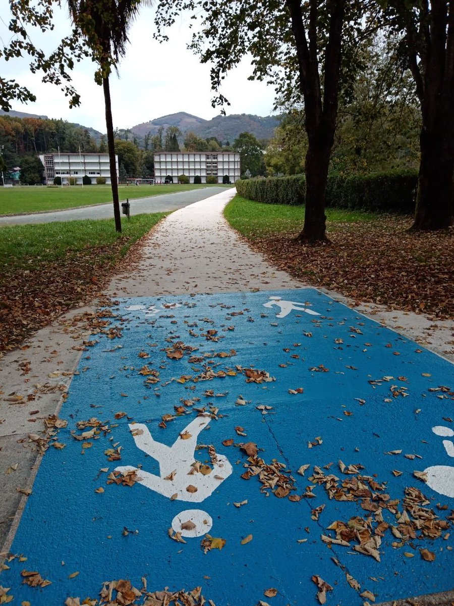 Frogatuta dago: autoendako errepideak egiten badira, autoak erabiliko dira. Bizikletentzako bideak egiten badira, bizikletak karrikara aterako dira.