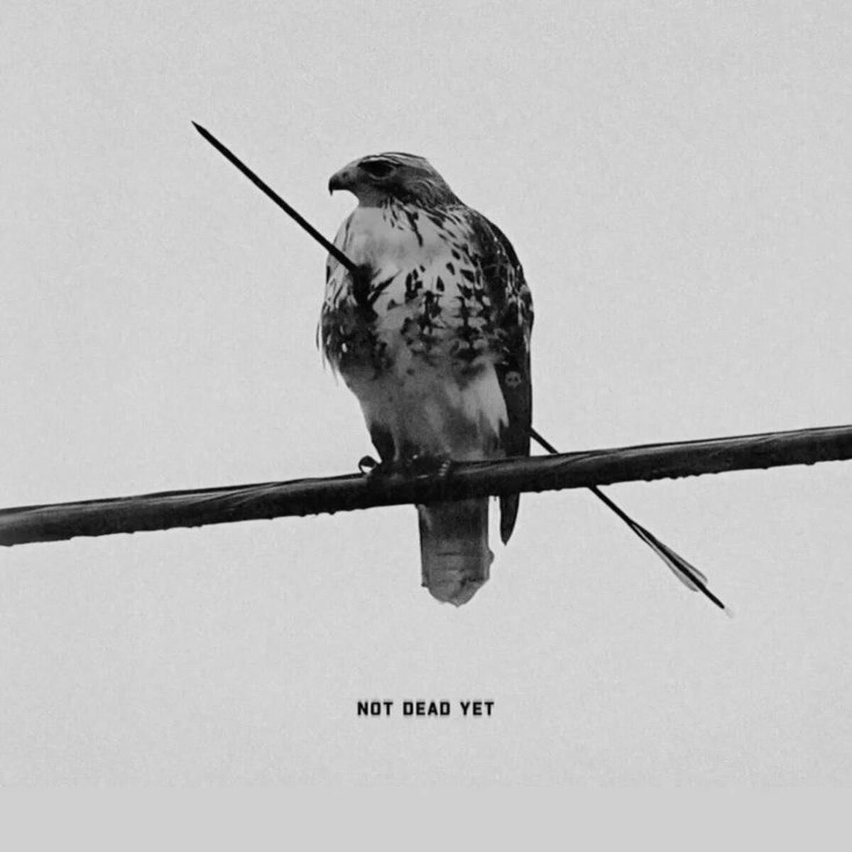 CodeManSol's tweet image. Have you seen one of the most symbolic meme pictures out there? $unbroken is like no other. 

6WUbAGBQd51XFQ3gagp3vJRsaz2Euo4PsE7uYvTLpump