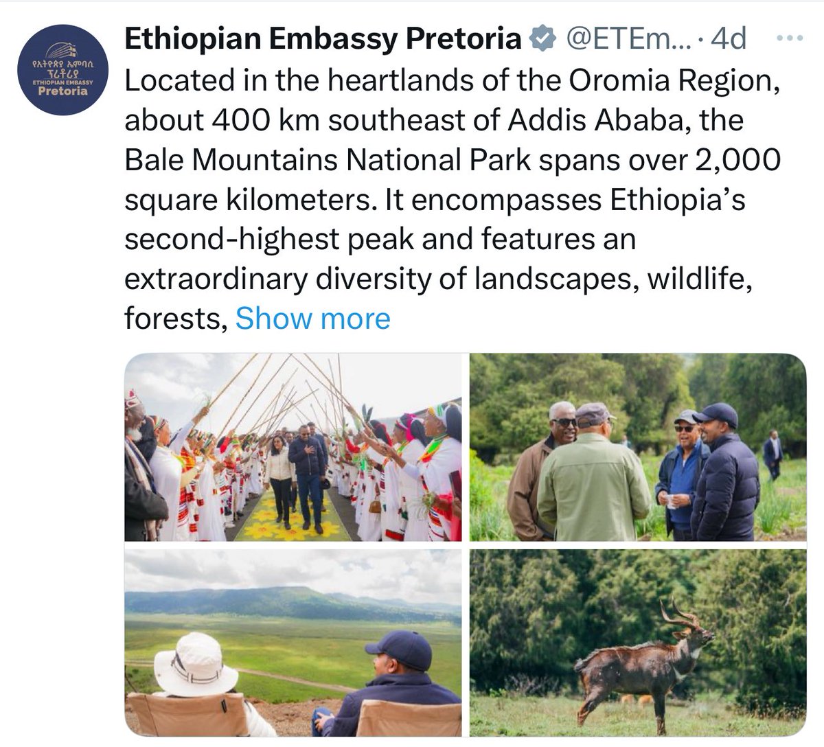 benjimk's tweet image. L&apos;Éthiopie met le paquet sur le Tourisme ! 🇪🇹

J&apos;ai visité une dizaine de pages d&apos;ambassades éthiopiennes : même message, même stratégie agressive pour la promotion touristique de leur pays. C&apos;est une offensive diplomatique bien coordonnée !

Sur le terrain, le Premier Ministre…