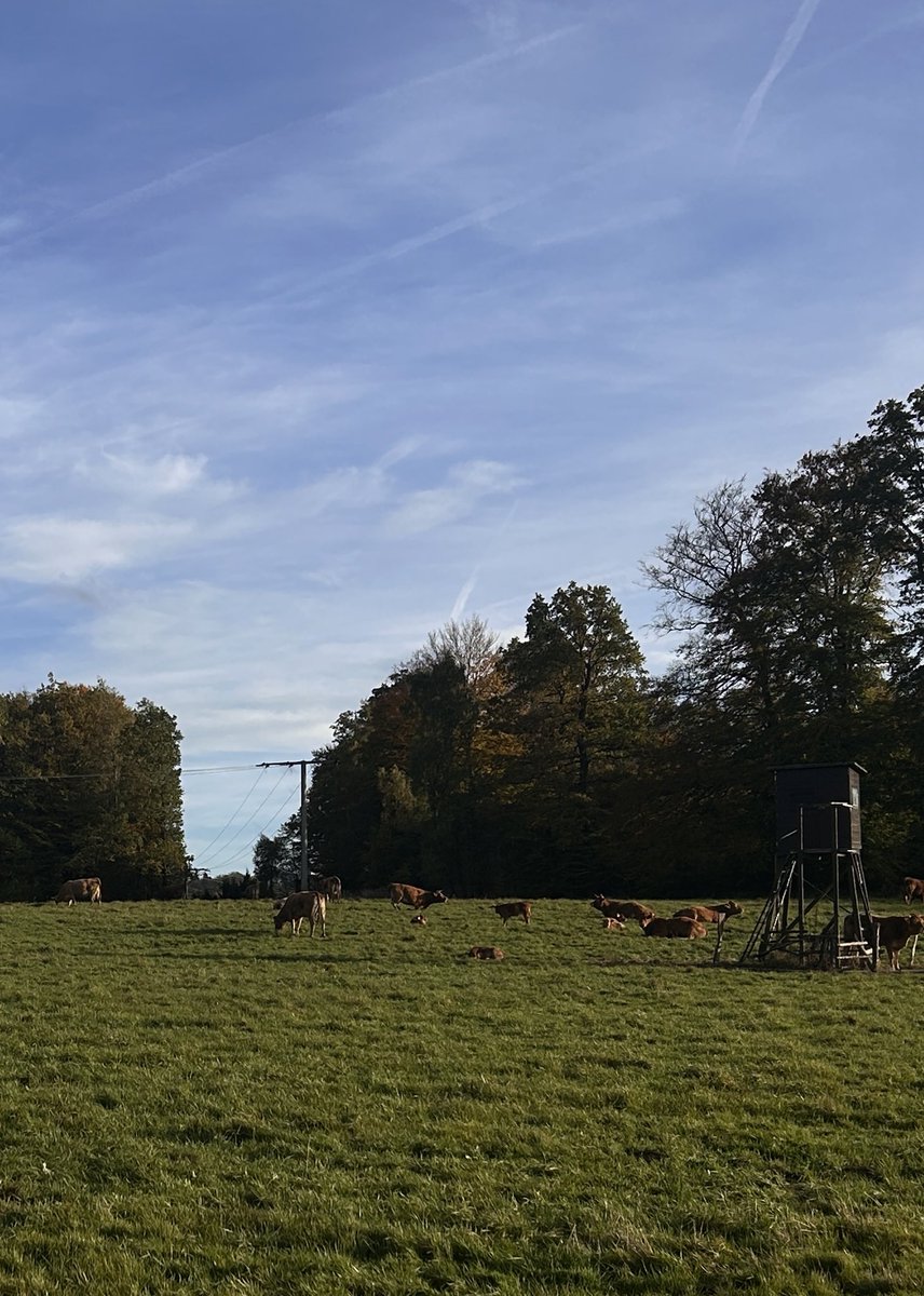 ich war heute mal gras anfassen
