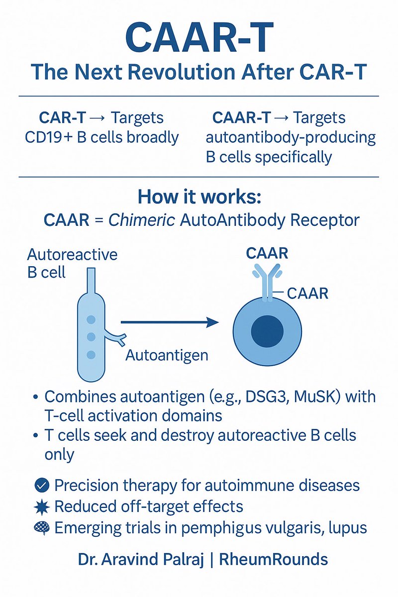 🚗💥 CAAR-T therapy — not science fiction anymore.
Imagine T cells trained to hunt only the rogue B cells causing autoimmunity — leaving the rest untouched.

From pemphigus to lupus nephritis and type 1 diabetes, trials are just beginning.

Precision autoimmunity is here. 🔥
