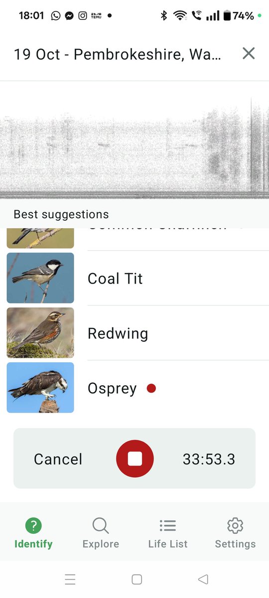 crossover in the seasons. Spotted flycatcher still here but redwings are back. First large flock of starlings this morning. Is the Osprey still here?