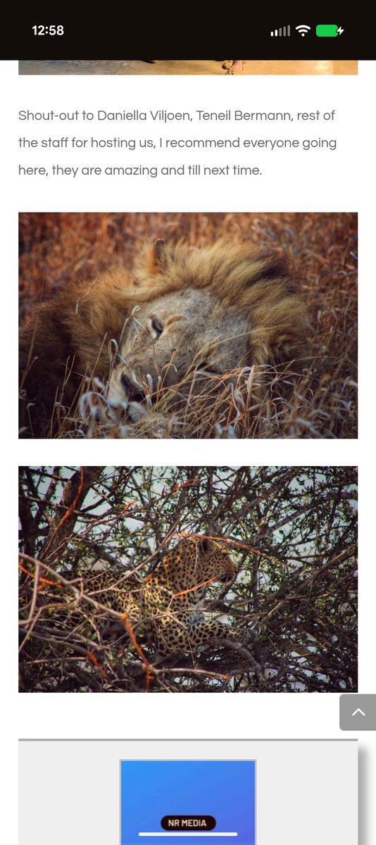 Everyone please check out my article from our experience at Xanatseni Private Safari Camp with Daniella Viljoen and Teneil Biermann  

Amazing story right here <a href="/AmyTrask/">Amy Trask</a>
<a href="/LeonardMarsh70/">Leonard A. Marshall (NFL Legend)</a> <a href="/TheDnRCompany/">The Company</a> <a href="/Joba_44/">Joba Chamberlain</a>🔥🚀 #NRMedia #SouthAfrica #Xanatseni  worldwidesportsradio.com/meet-daniella-…