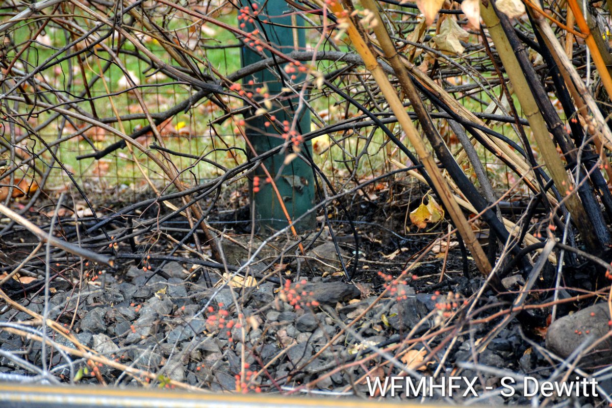 WaterfrontMdaHfx tweet media