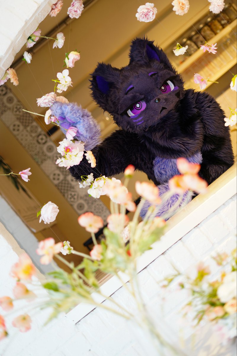 볶음철판연유아이스케이크