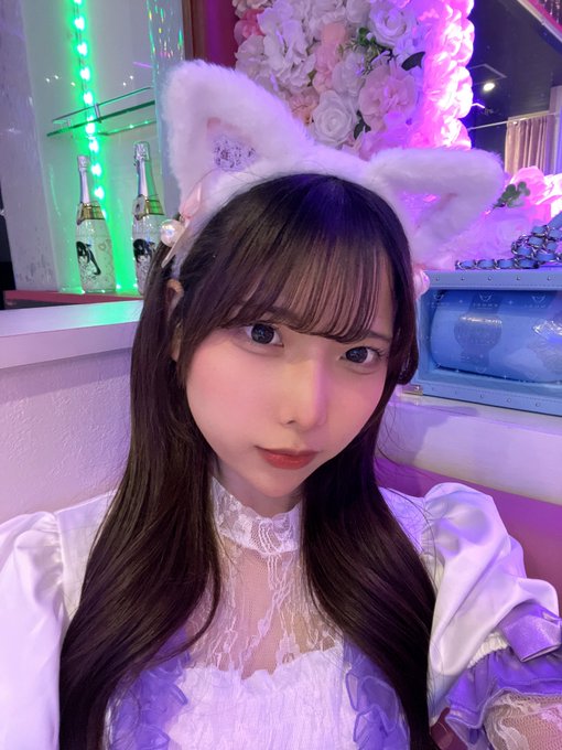 あるちゅーるのツイート