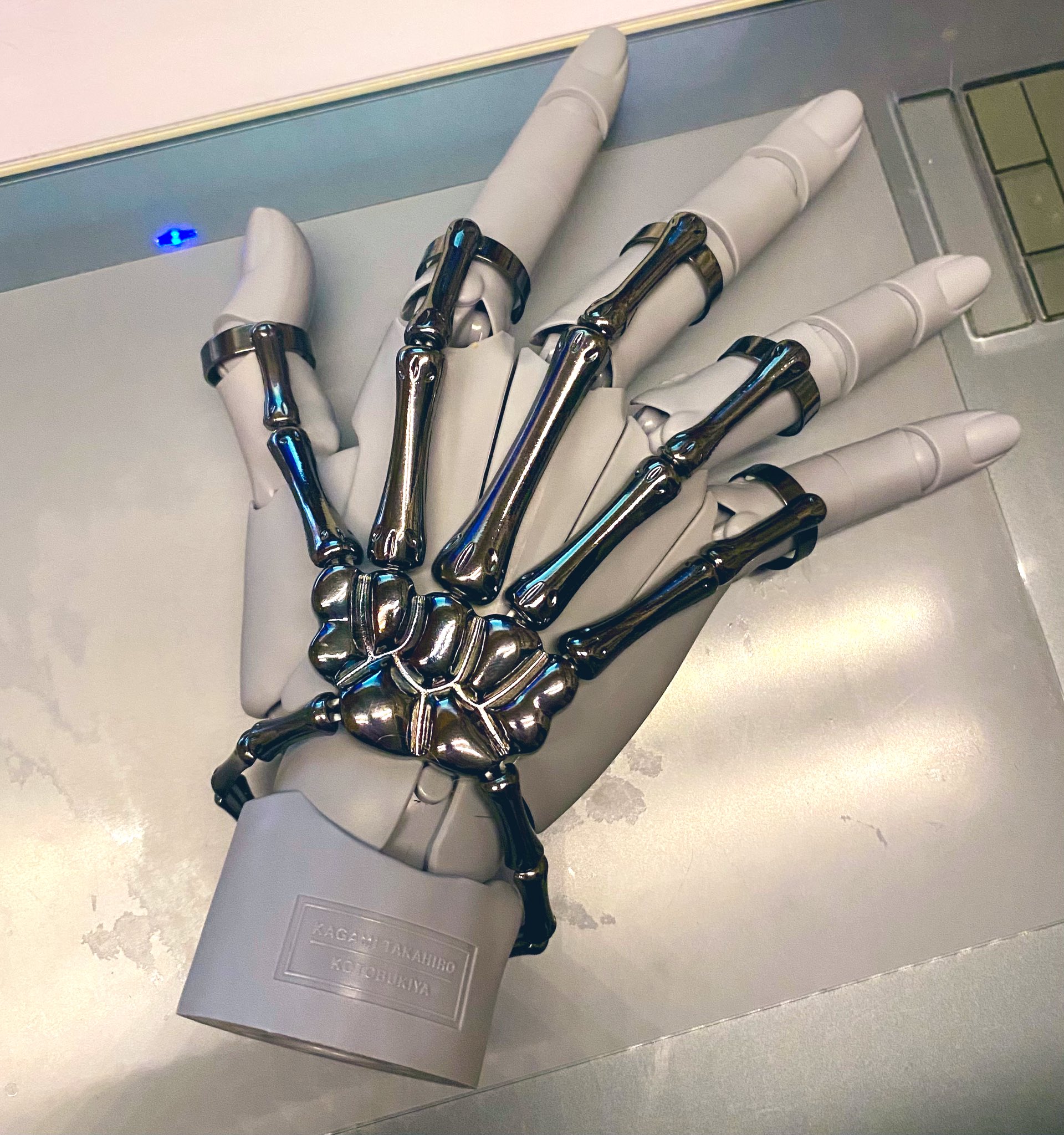 いわし (@iwashi_rrr) / X