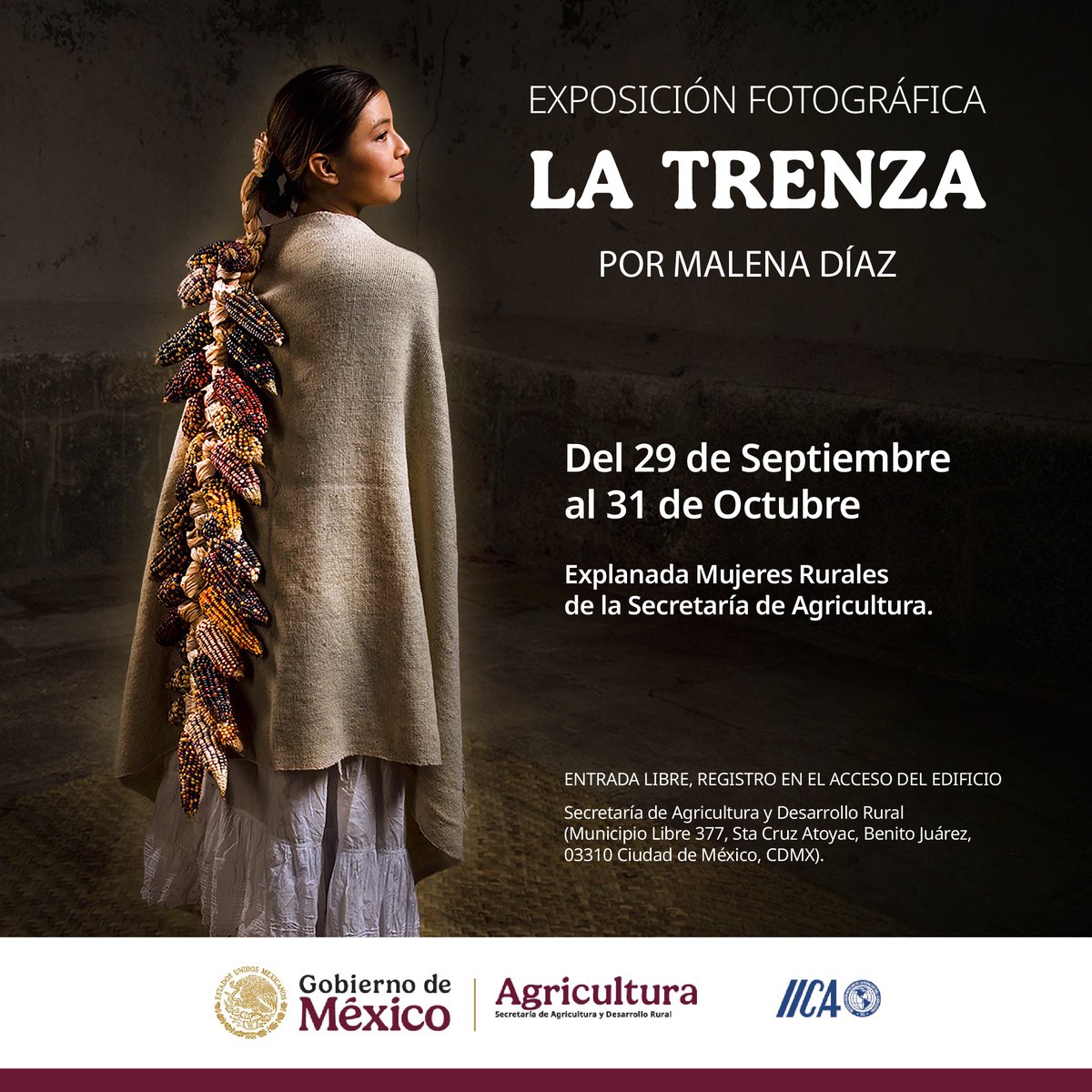 IICA México tweet media