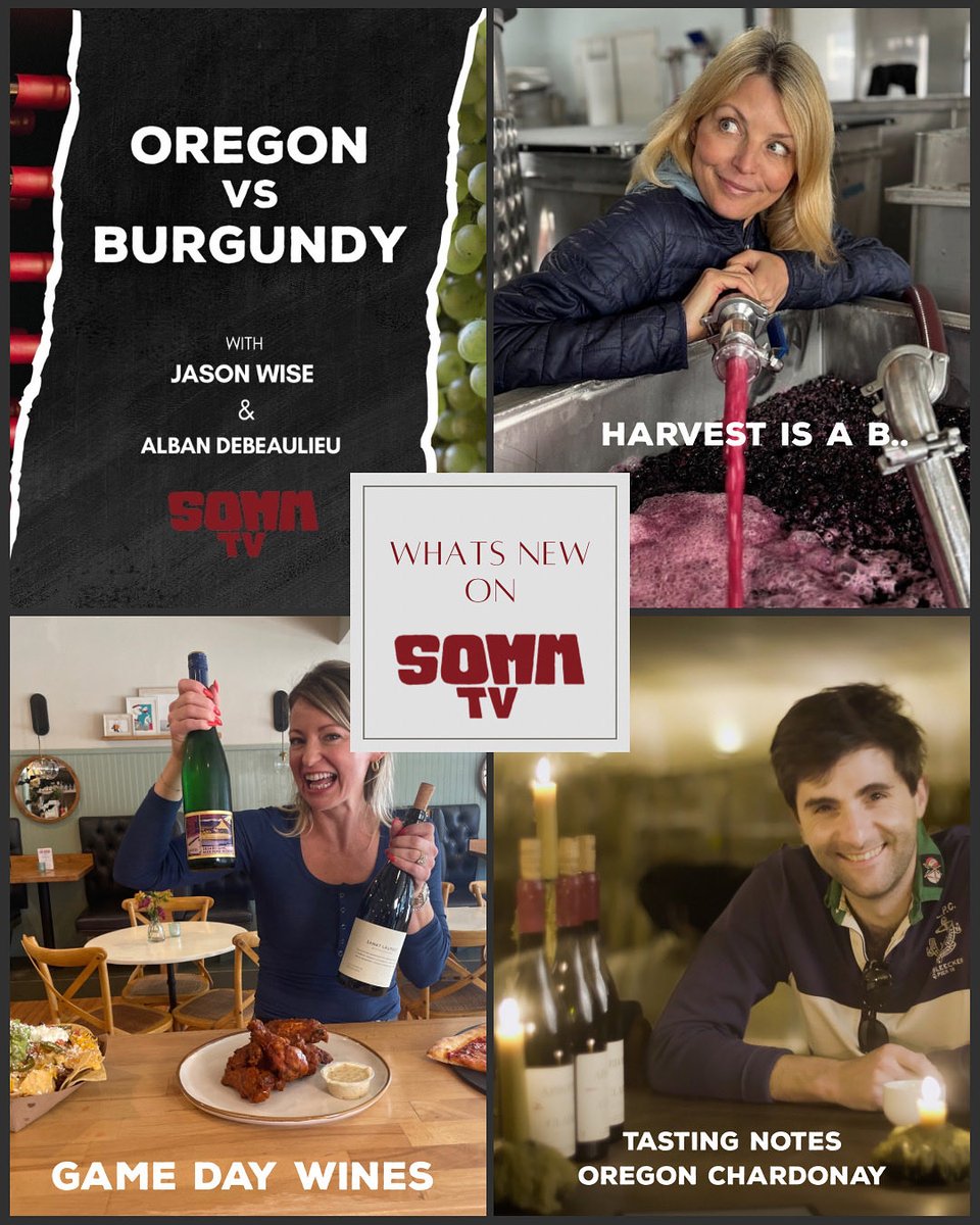 Whats new on SOMM TV?! Travel to Oregon to break down the incredible Chardonnay coming from Oregon, the craziness of harvest with an MW &amp; much more! We also have a new original film coming in 2 weeks!  Go to sommtv.com use code SOMMTV50 for 50% off!