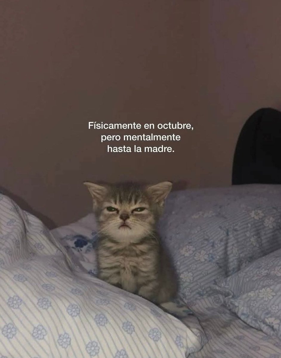 En_jupiter_'s tweet image. 