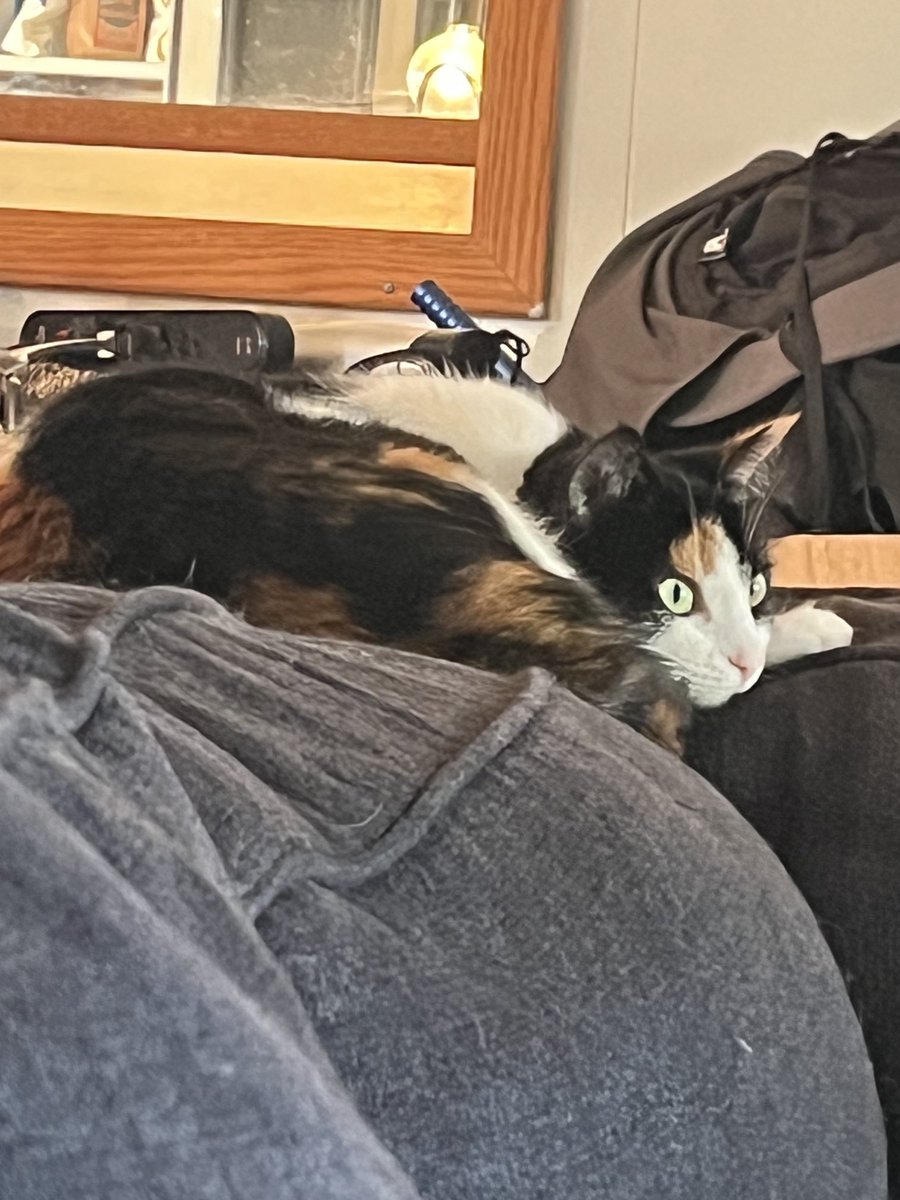 Penny watching the psychology of cats, she is fascinated