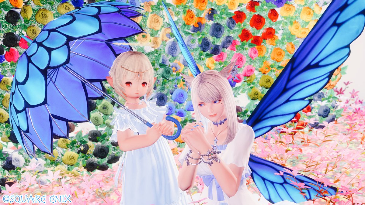 ぽぷりレベルアップしました⸜(*´꒳`*)⸝

一昨年は入院を繰り返したり手術したりで大変でしたがこの一年は健康的に楽しく過ごせました⸜(*ˊᗜˋ*)⸝
本当にありがとです·͜· ︎︎ᰔᩚ
また一年、元気で笑いの絶えないエオルゼアを楽しんでいきます(*ฅ́˘ฅ̀*)♡

#ぽぷりさんちの秘密の花園 #FF14