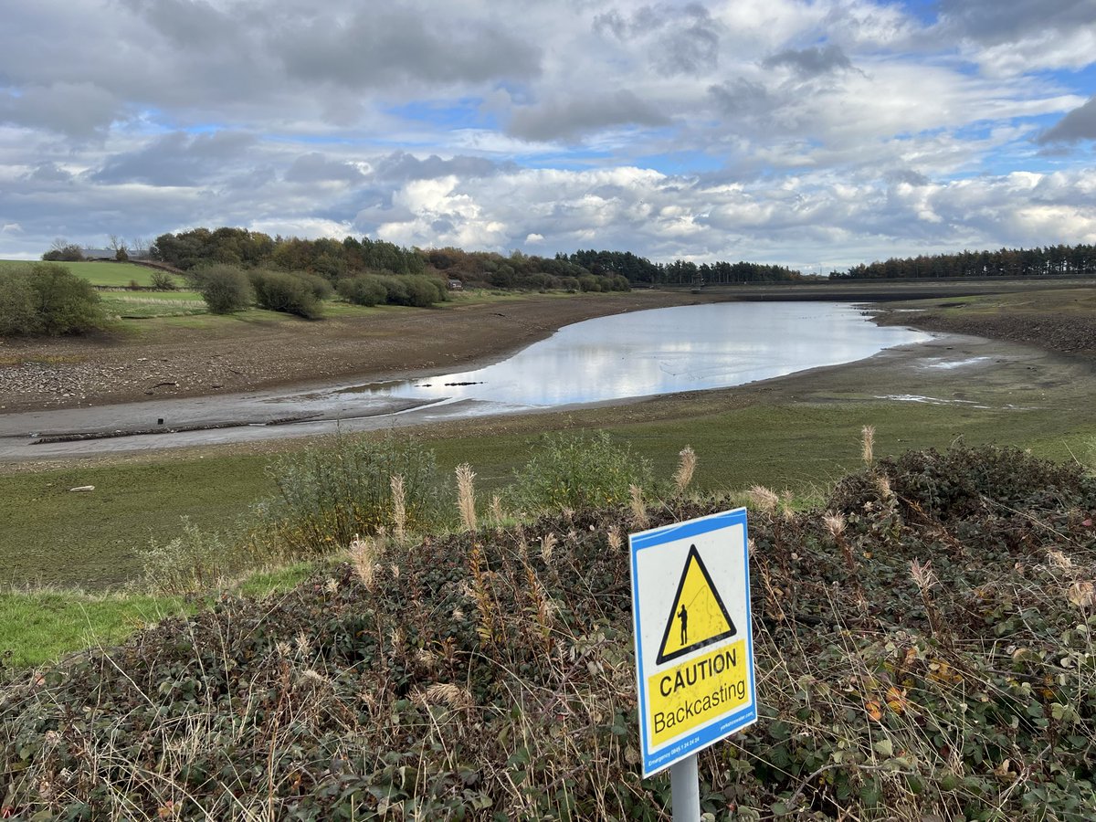 Cormorant - an amazing 62+ birds at a much depleted Scout Dyke today