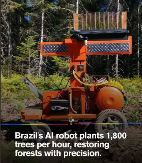 Rainmaker1973's tweet image. In Brazil, reforestation efforts have been revolutionized by robotic planters capable of planting 1,800 trees per hour. These robots use GPS precision to ensure that each seedling is optimally placed for growth, maximizing survival rates and ecological impact.

Brazil, home to…