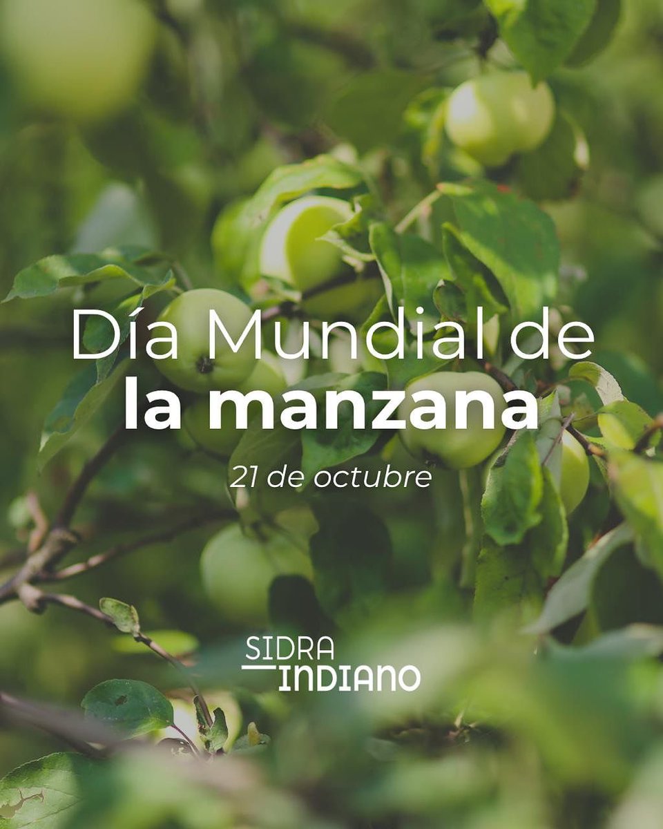 🍎 Hoy, 21 de octubre, celebramos el Día Internacional de la Manzana… y en Indiano tenemos mucho por lo que brindar.

En Sidra Indiano, las elegimos con mimo, respetando la tierra y su sabor auténtico.

#DíaInternacionalDeLaManzana #SidraIndiano #Manzana #SaborDeOrigen