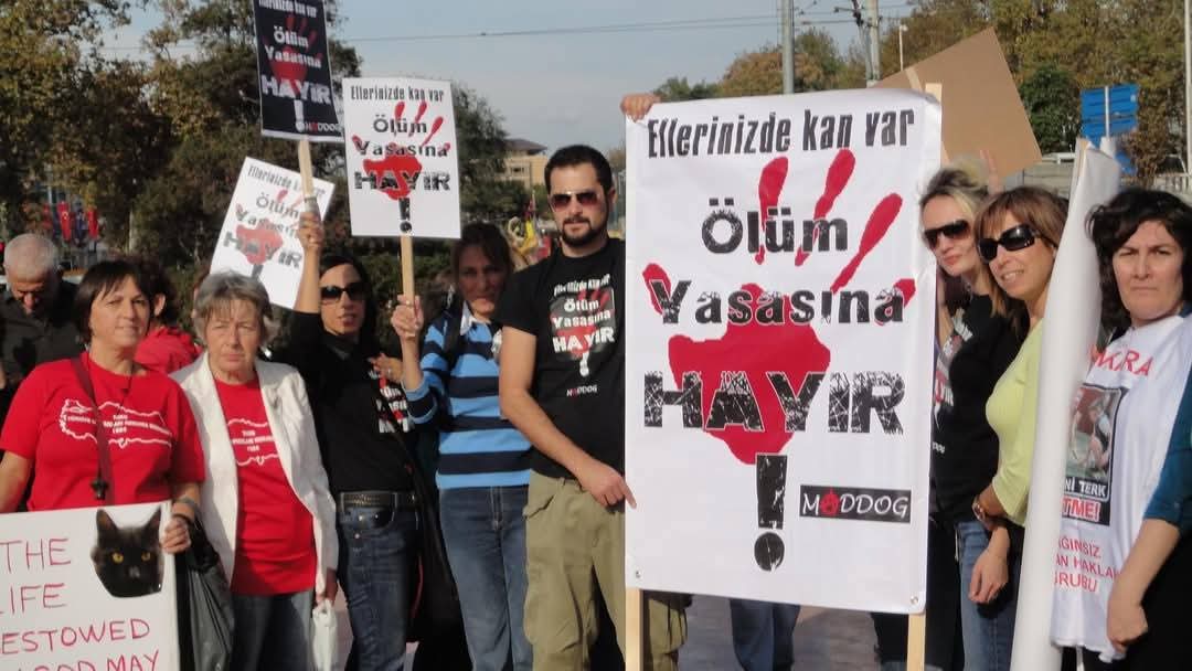 Günümüzden tam 13 yıl
Önce bu gün Taksim’de gerçekleştirdiğimiz muhteşem eylemimizden görüntüler:
 21 Ekim 2012