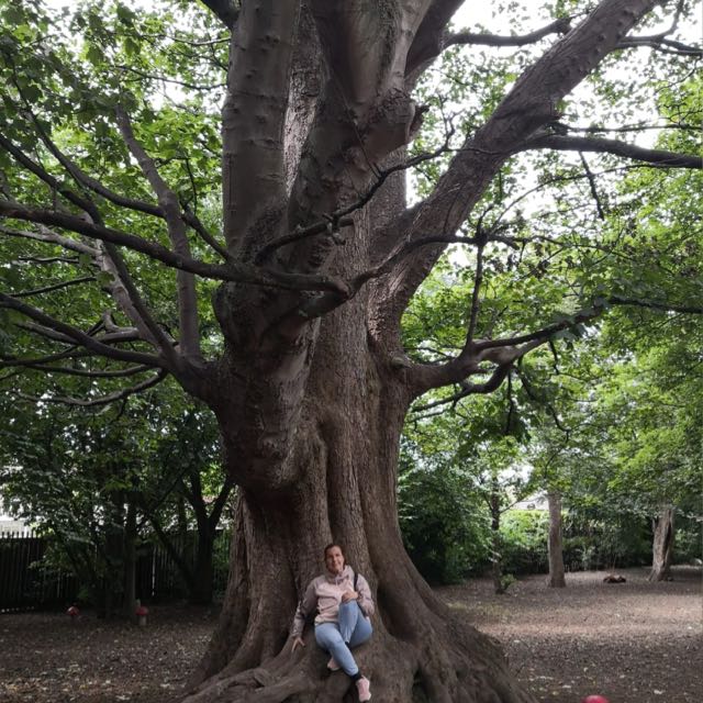 🎉¡Nueva ponente en la #A11yConf 2025!
Presentamos a <a href="/amaterasu_n/">🦔Núria🦮🇮🇪</a> , consultora en accesibilidad digital (CPACC – IAAP) y creadora de <a href="/6STravel/">SixSenseTravel🗺🦮🇮🇪</a> 
🛠 Taller:
“Tu pantalla habla, ¿te atreves a escucharla?”
con Karina Ramírez.
📍 Girona, 29 nov
🔗 a11yconf.com/es/agenda#Nuri…
 #a11y