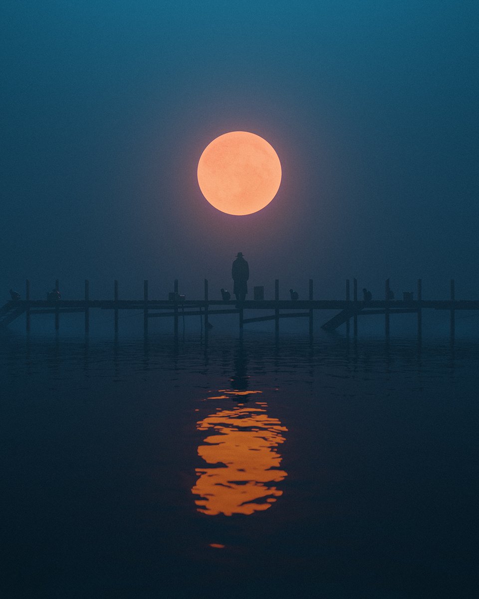 __austine's tweet image. In the still of the night //