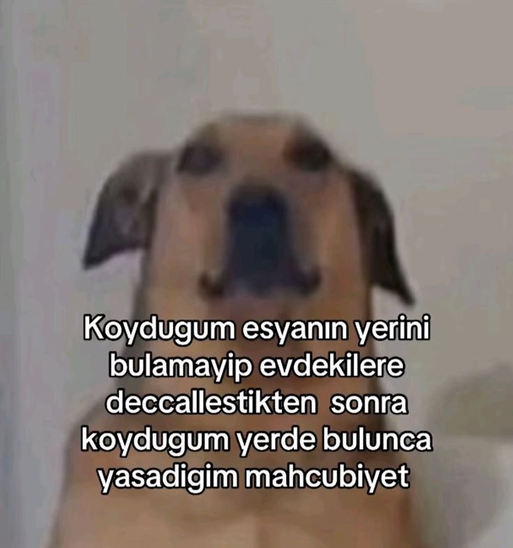 bana bişi sormayın (@kayboiduk) on Twitter photo 