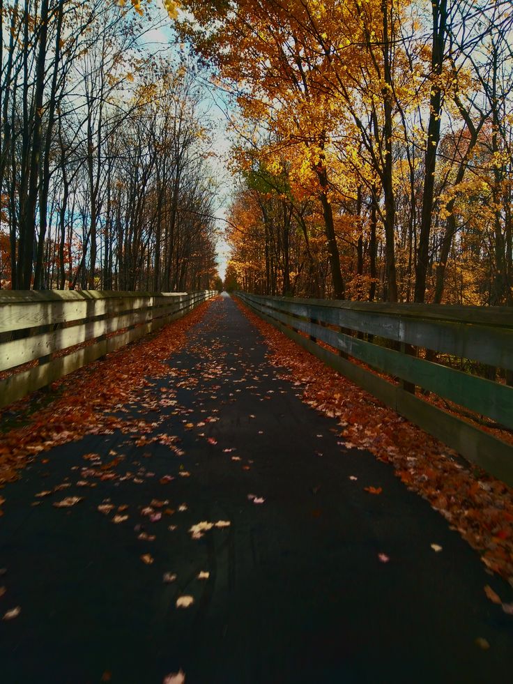 tinytinydarlin's tweet image. - quote
- season
- character
- blythe doll