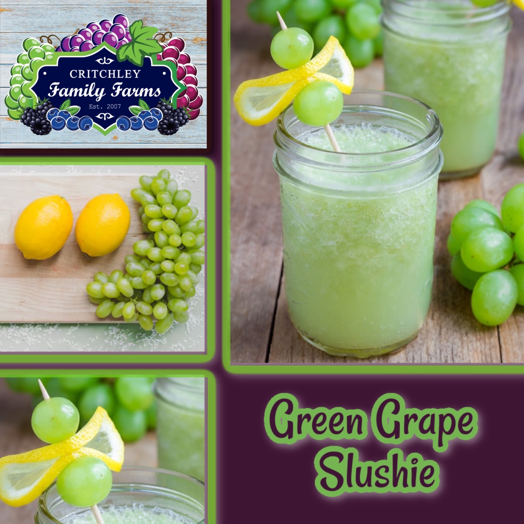 🕸️👻 This Grape Slushie is sure to steal the show at your Halloween get-together! Refreshing, spooky-green, and made even better with fresh green grapes from Critchley Family Farms. 🍇💚
critchleyfamilyfarms.com/recipes/tangy-…

#CritchleyFamilyFarms #CaliforniaGrapes #SpookySeason