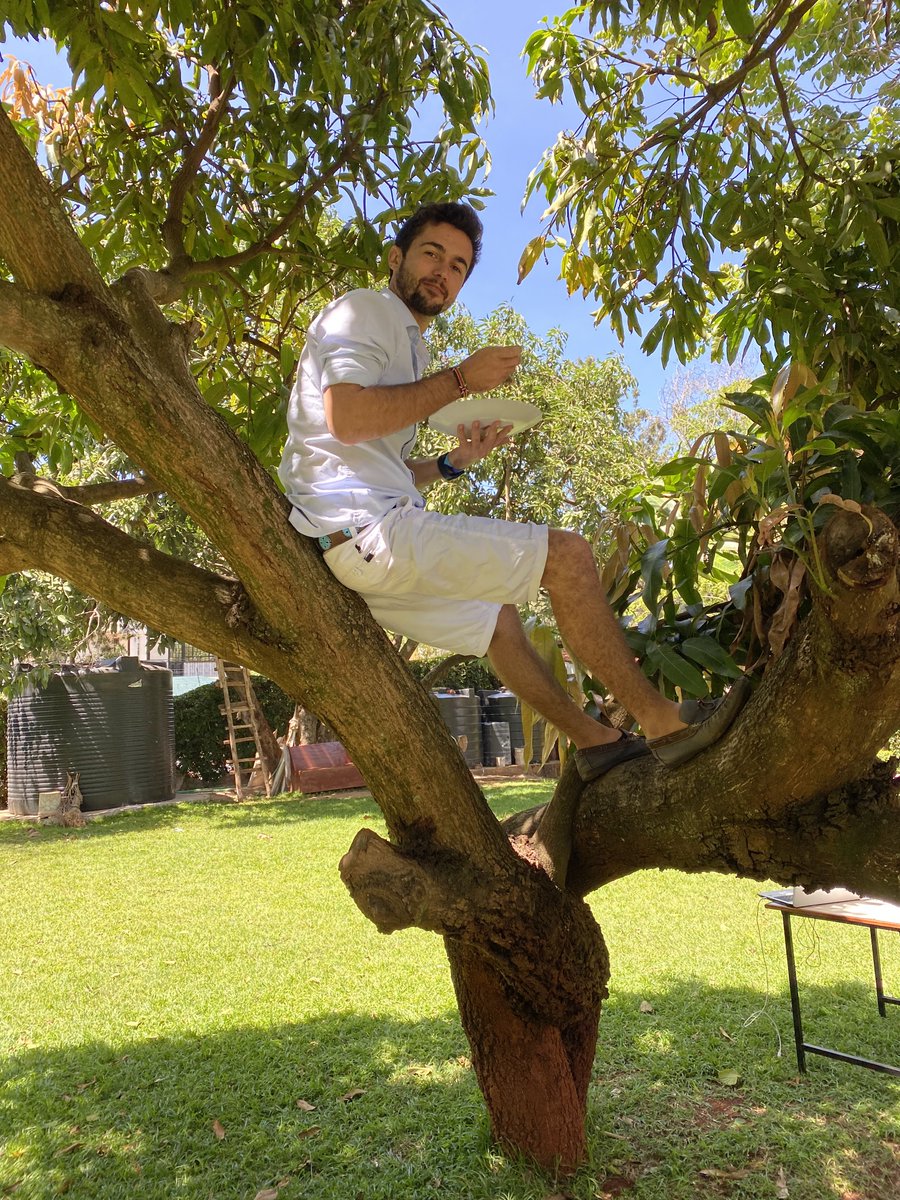 Can I get a GM? 💚

In case you're wondering how much of a Treegen I am, this is me having lunch 🌳

Hope you have a GROW Morning, <a href="/thetreegens/">Treegens.tgn🌳$TGN</a> is launching something revolutionary tomorrow!