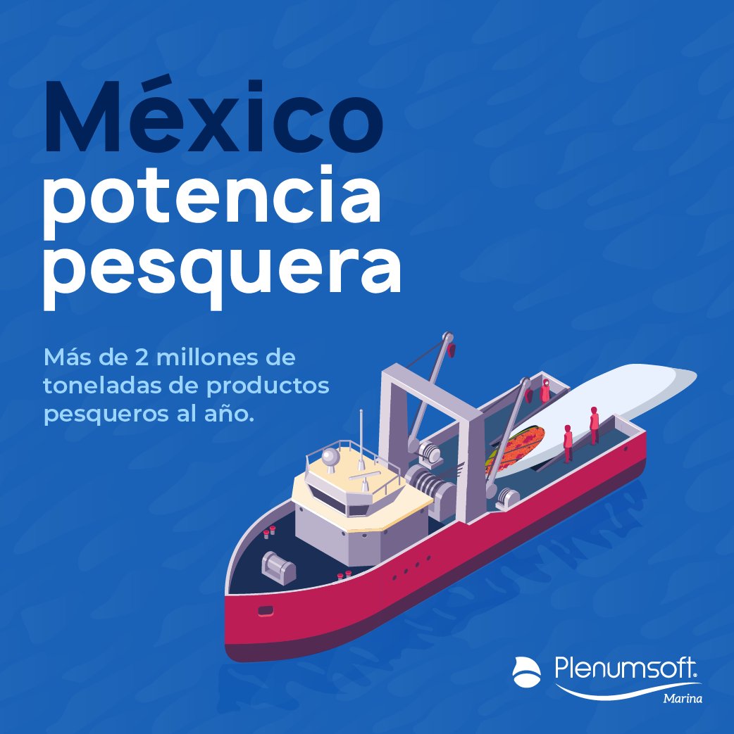 Plenumsoft Marina tweet media