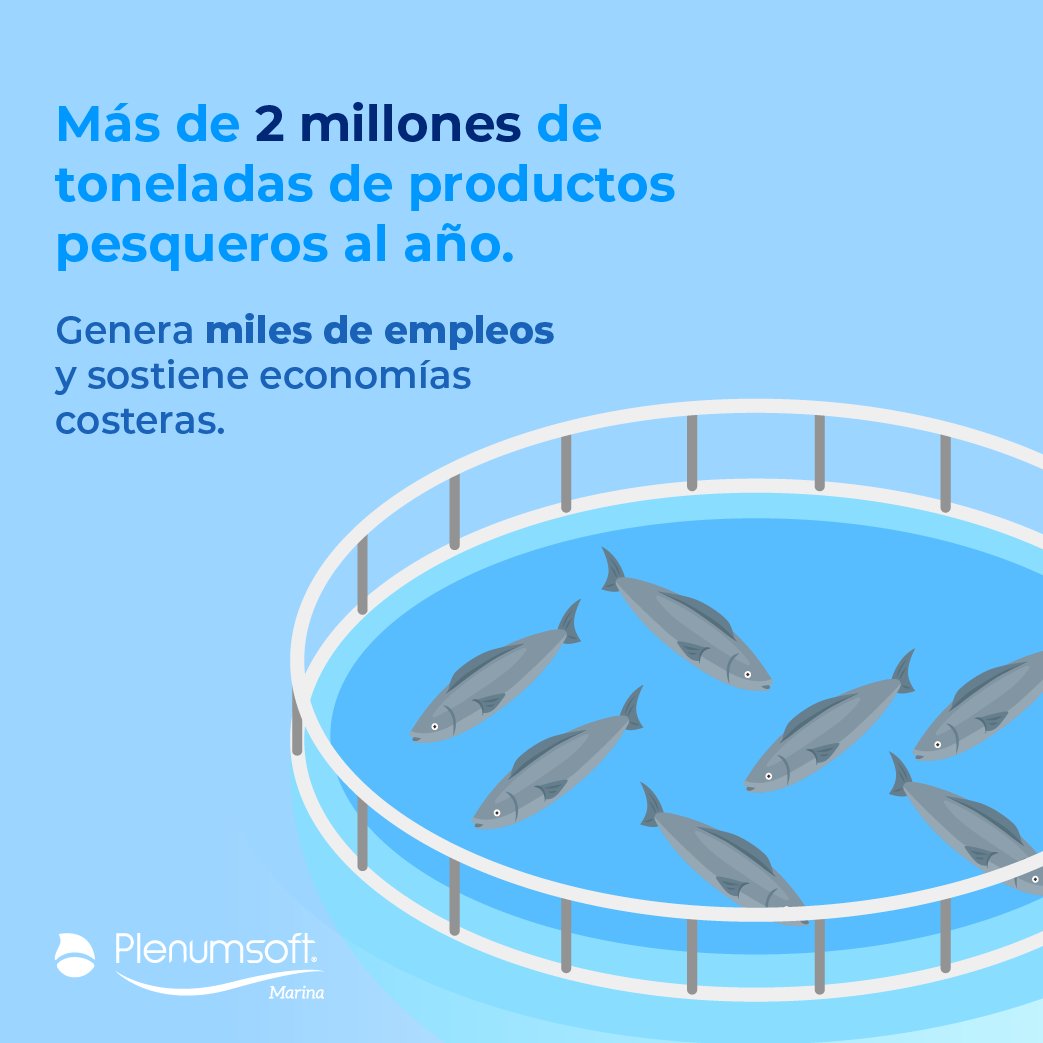 Plenumsoft Marina tweet media