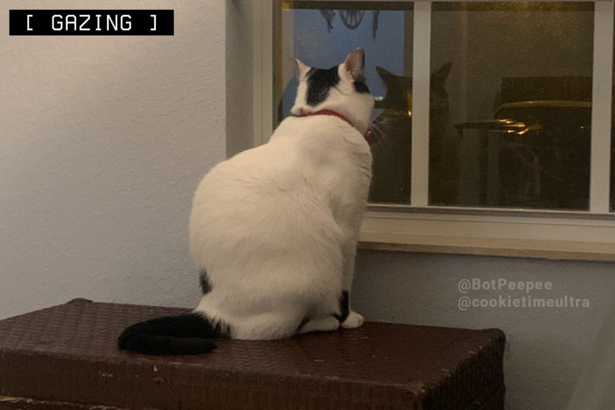 💣💥 tweet media