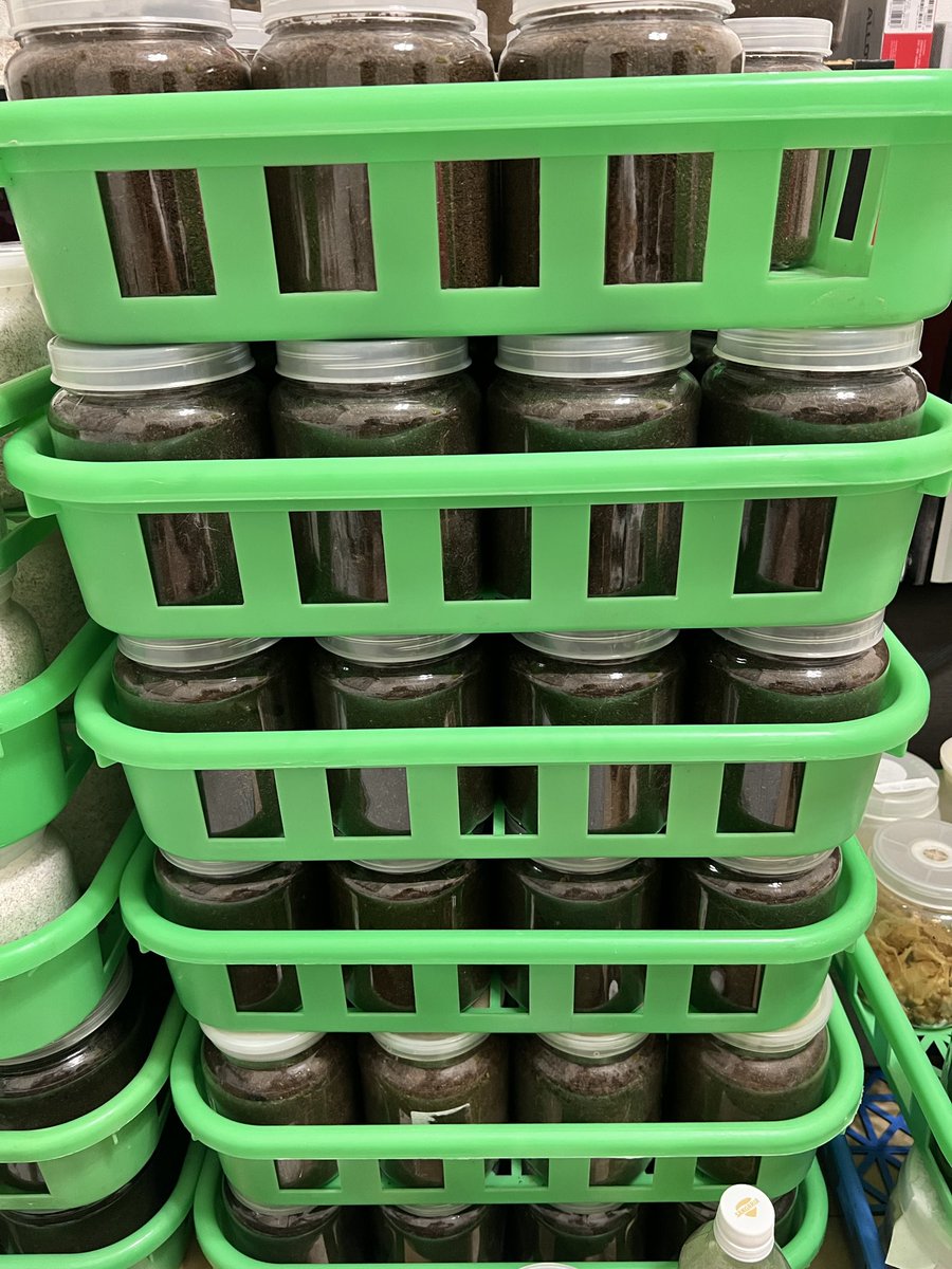 さらまとめ売り ケンバス New 2026 Kawasaki Ninja ZX-6R | Motorcycles in Tyrone PA