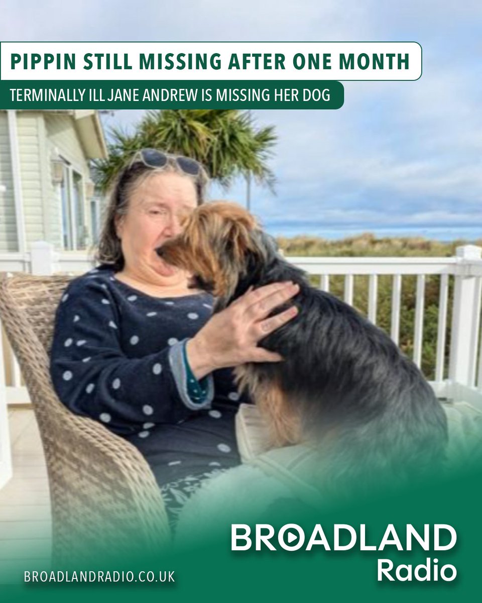 A couple are still searching for their dog Pippin, missing for a month in Great Yarmouth. The Caister Life boat and Drone to Home volunteers have searched the area despite no success. bit.ly/3L12kHq
#BroadlandRadio #LocalRadio #MissingPippin #GreatYarmouth #Norfolk