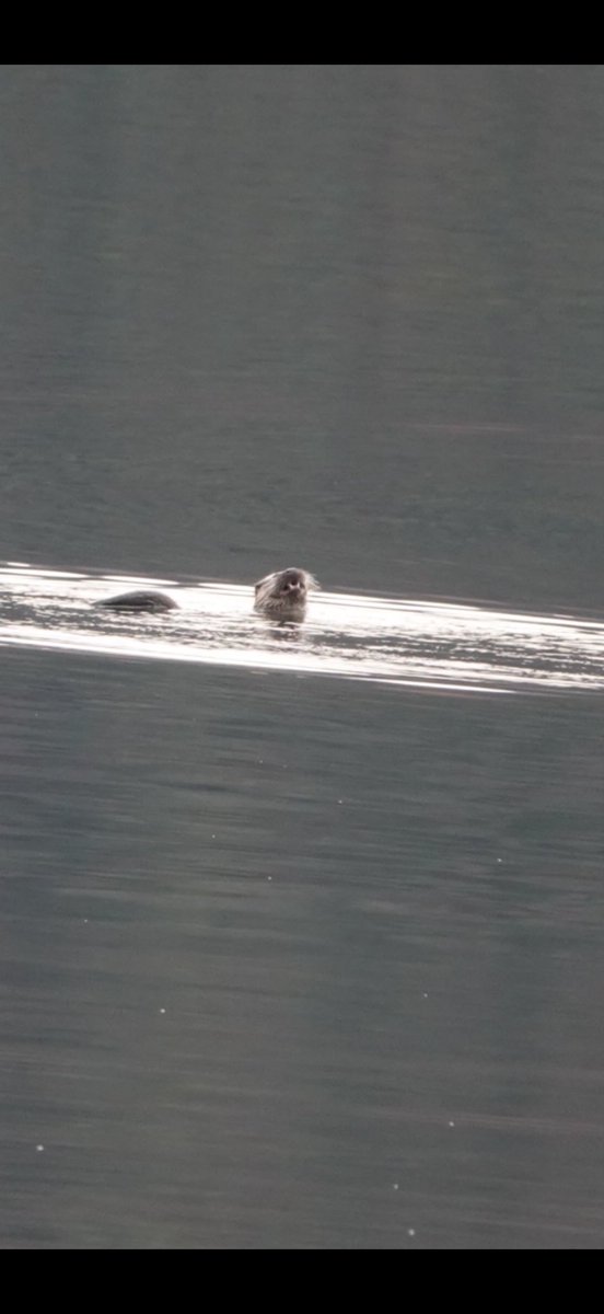 Mark Lucas tweet media