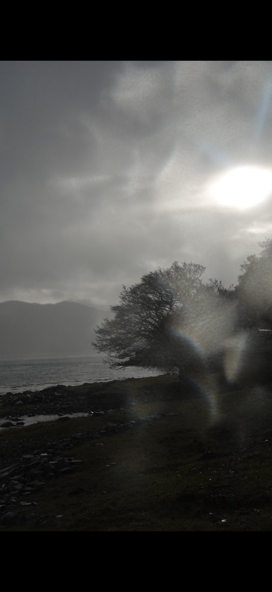 Mark Lucas tweet media