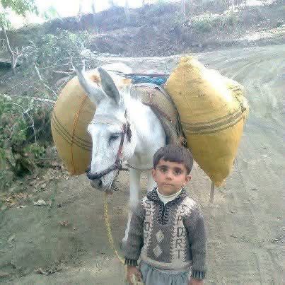 Şair ne güzel söylemiş:
Yetimin yırtık çorabında dikiş; 
Dul kadının evindeki namus olmaktır İNSANLIK. 
Kibirli zenginin yüzüne tükürük, 
Fakirin sofrasında soğan olmaktır İNSANLIK..