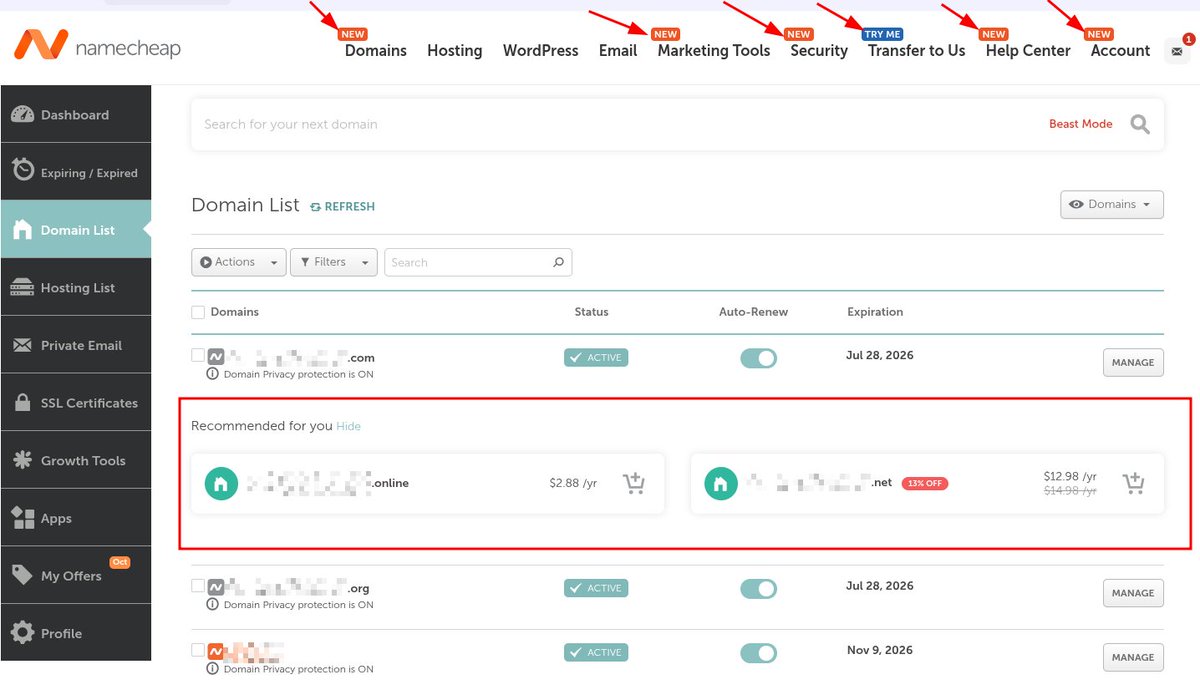 I have loved Namecheap for a long time, but damn this is annoying.

Ads IN THE MIDDLE of my domain list is just way too far.