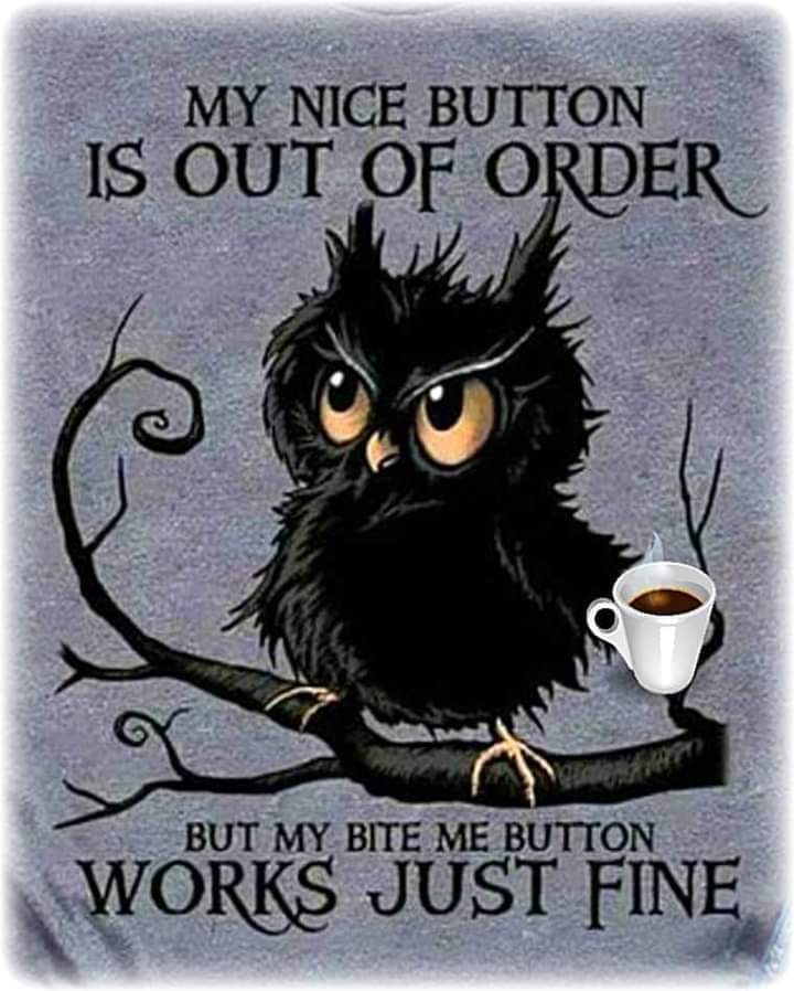 kylephoenix419's tweet image. Still working. Still using nearly every break I have to heat my back. Still in a fair amount of pain. Could use prayers since my chiropractor just bailed on me just hours before I could have been adjusted.

This day has gone to 💩 fast.