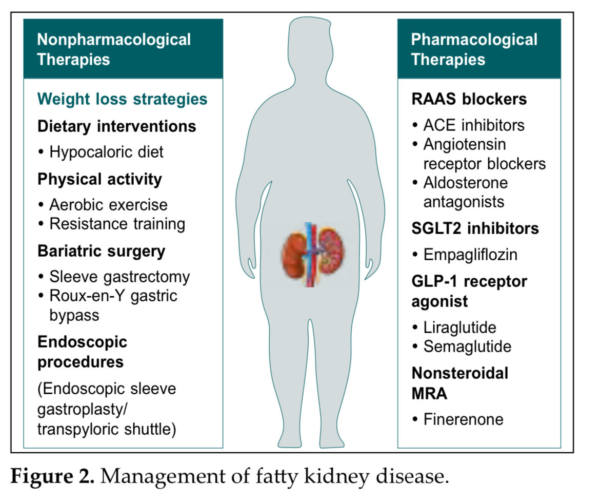 Sourabh Sharma (@iamnephrologist) on Twitter photo 💥Is there an entity called “Fatty Kidney Disease” ⁉️ 
⚡️Can kidneys too be obese?
Yes indeed ‼️ 
#NephroNotes #NephPearls #FOAMEd #MedEd 💥Is there an entity called “Fatty Kidney Disease” ⁉️ 
⚡️Can kidneys too be obese?
Yes indeed ‼️ 
#NephroNotes #NephPearls #FOAMEd #MedEd