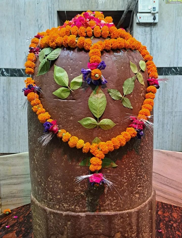 _vatsalasingh's tweet image. सांब सदाशिव...🥺🙏