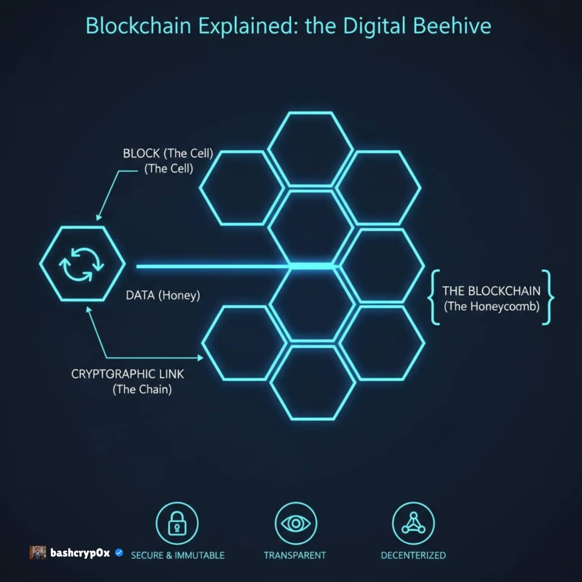 bashcrypt0x's tweet image. What is a Blockchain?

​Everyone talks about &quot;the blockchain,&quot; but what IS it?
 
  Let&apos;s break it down with a simple analogy. Imagine a beehive&apos;s honeycomb.[1] Each cell in the honeycomb is a &quot;block,&quot; and the honey stored inside is your &quot;data&quot; or transaction. The entire hive is…