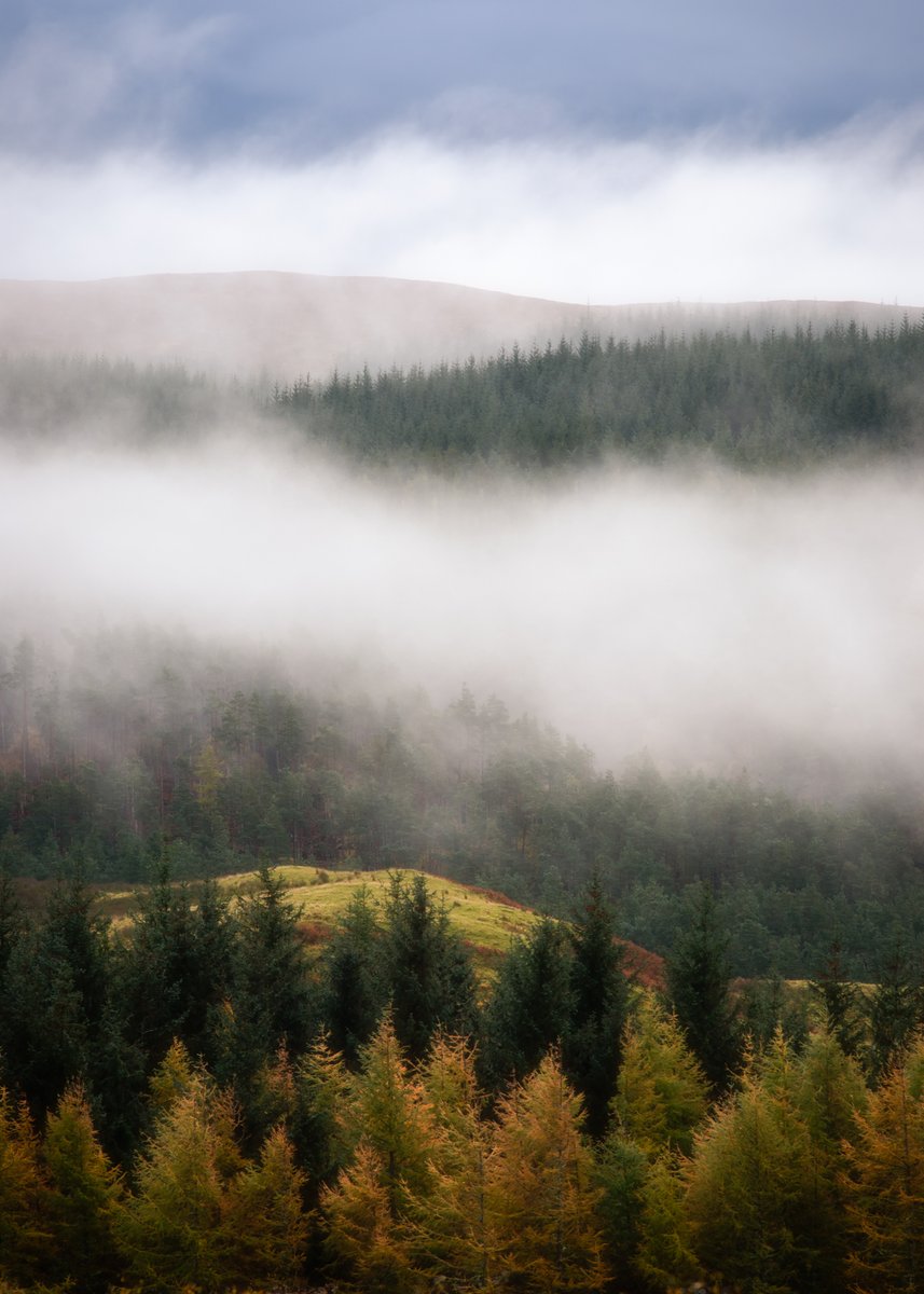 First day with the Nikon 180mm f2.8Ais that was picked up from the lovely folk at <a href="/Ffordesphoto/">Ffordes Photography</a>