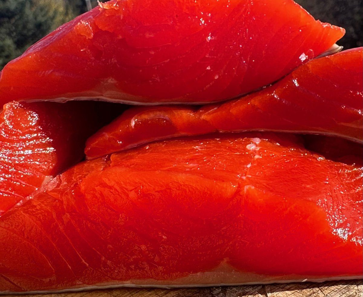 Captain_0f_Alts's tweet image. everyone that’s ordered sockeye beginning in May 2025 is entered to win another box of fish… crypto orders get a second entry. Drawing will run until sometime in November. Will give more details once I have time to chill @sleepybaysalmon